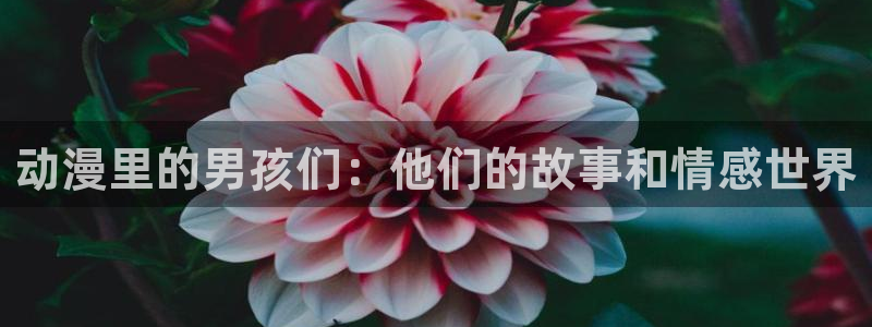 omofun动漫最近更新：动漫里的男孩们：他们的故事和情感世界配图