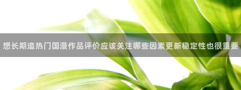 omofun动漫搜索:想长期追热门国漫作品评价应该关注哪些因素更新稳定性也很重要配图
