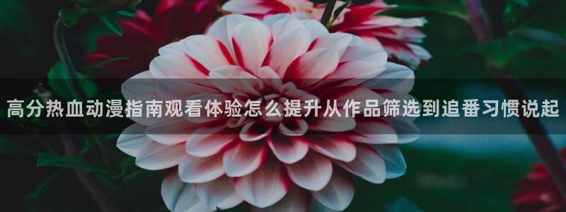 omofun动漫电影大全:高分热血动漫指南观看体验怎么提升从作品筛选到追番习惯说起配图