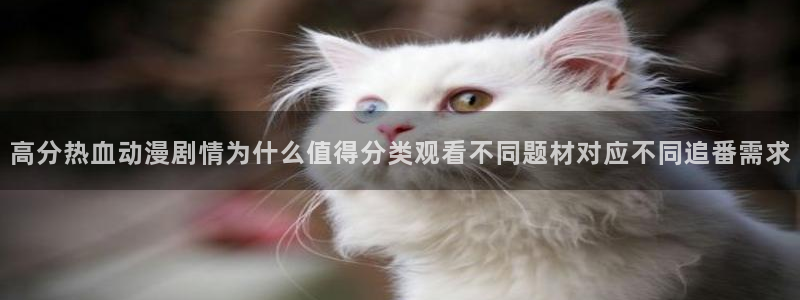 omofun热门动漫推荐:高分热血动漫剧情为什么值得分类观看不同题材对应不同追番需求配图