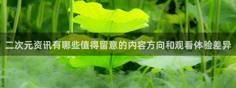 omofun动漫完整版：二次元资讯有哪些值得留意的内容方向和观看体验差异配图