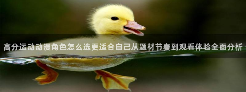 omofun动漫官网高清:高分运动动漫角色怎么选更适合自己从题材节奏到观看体验全面分析配图