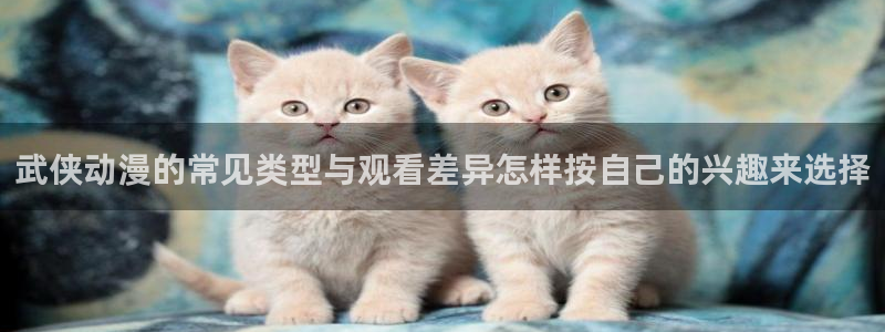 omofun新番推荐:武侠动漫的常见类型与观看差异怎样按自己的兴趣来选择配图